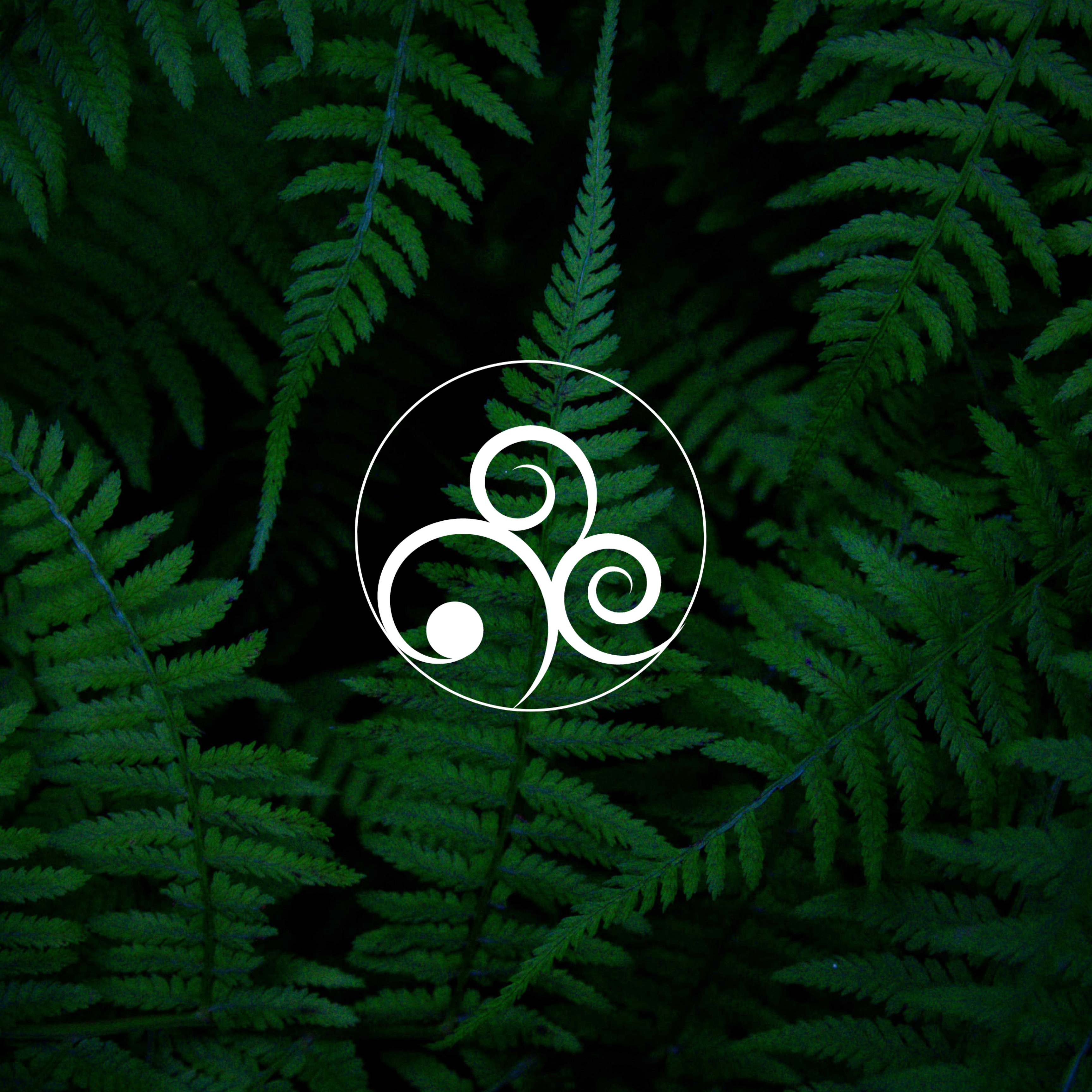 Ellen S. Wright, LMFT